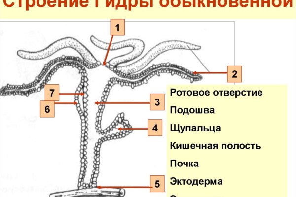 Кракен наркотики в оренбурге