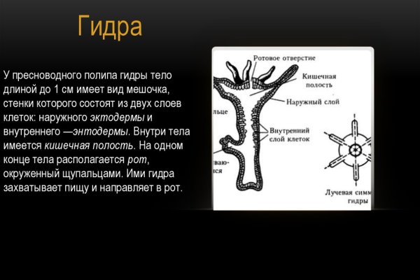 Логин и пароль от кракен