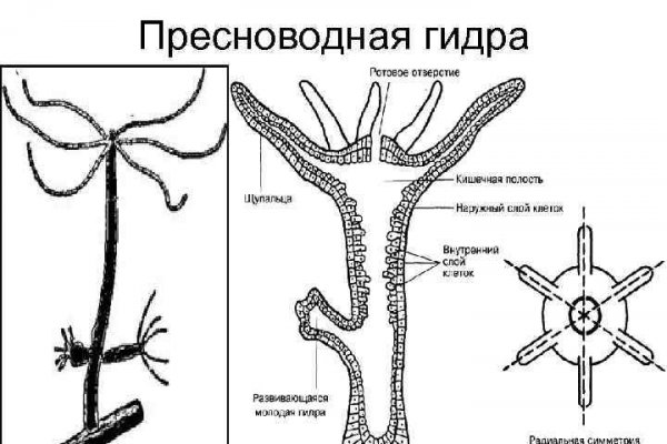 Как зайти на кракен с компа